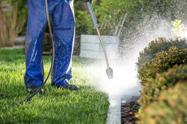Curb Cleaning in Easton