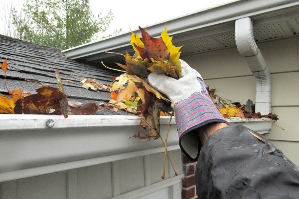 Eaves Cleaning in Easton