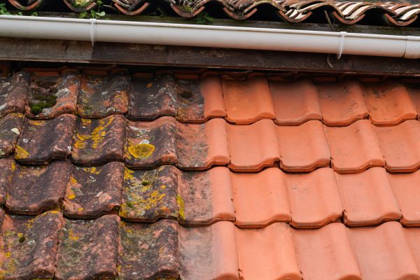 Industrial Roof Cleaning in Easton