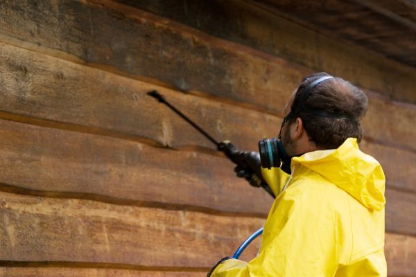 Cedar Siding Washing in Easton